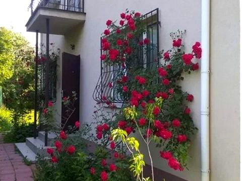 дом по адресу 49-та Садова ул.