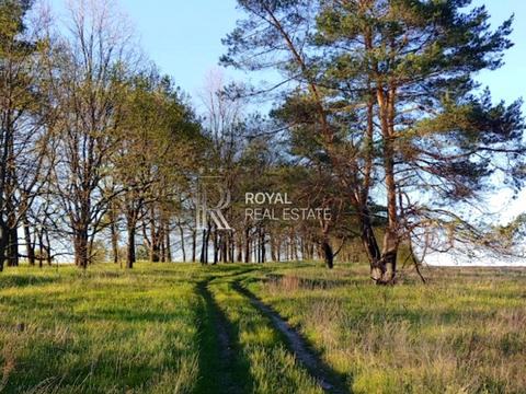 ділянка за адресою 