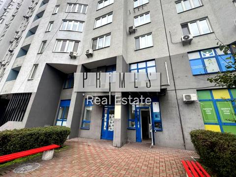 комерційна за адресою Київ, Бориса Гмирі вул., 4