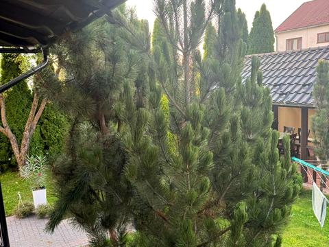 будинок за адресою Слов'янська