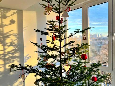 квартира за адресою Лаврська вул. (Січневого Повстання), 4а