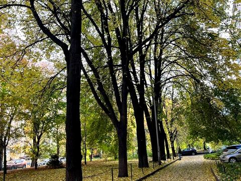 квартира за адресою Лаврська вул. (Січневого Повстання), 4а