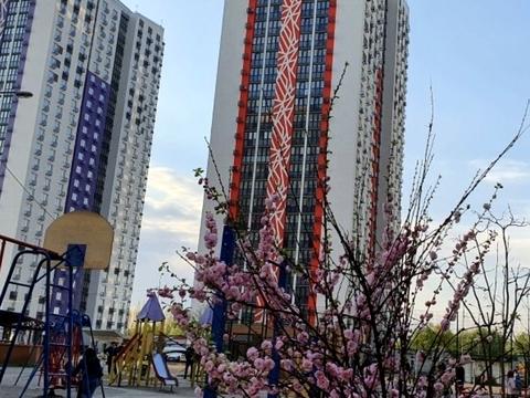 квартира за адресою Миколи Закревського вул., 101-Б