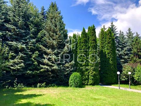 будинок за адресою смт. Козин, Старокиївська вул.