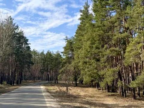 дом по адресу Гостомельське