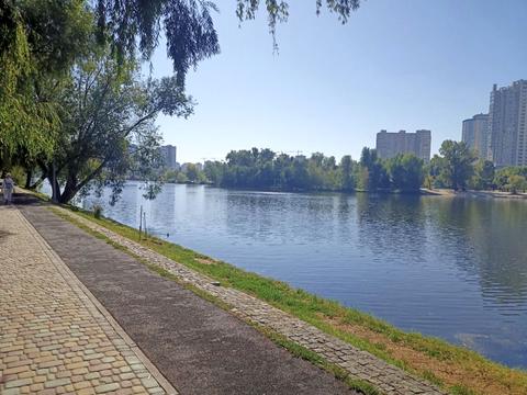 квартира по адресу Ивана Миколайчука ул. (Серафимовича), 17/1