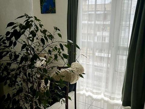 квартира по адресу Павла Загребельного ул. (Миколи Раєвського), 11