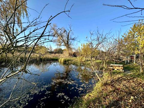 ділянка за адресою кооператив Переможець