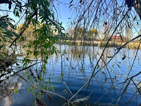 ділянка за адресою кооператив Переможець