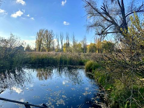 ділянка за адресою кооператив Переможець