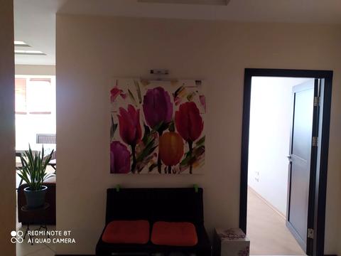 квартира по адресу Юрия Шумского ул., 1