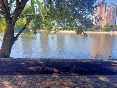 квартира по адресу Ивана Миколайчука ул. (Серафимовича), 19/1