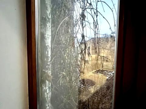 квартира по адресу Набережно-Крещатицкая ул., 7