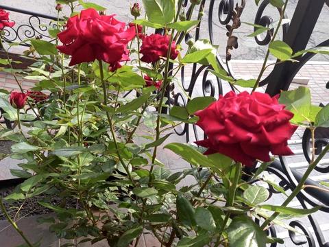 квартира по адресу Магистральная ул., 33