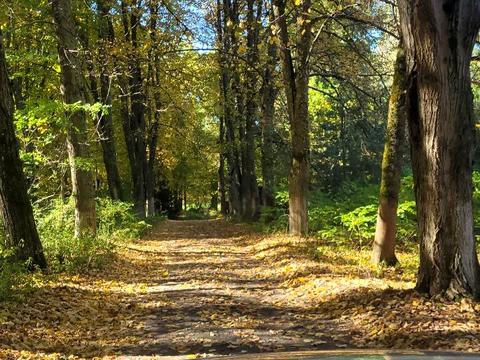 будинок за адресою Хутірська, 5