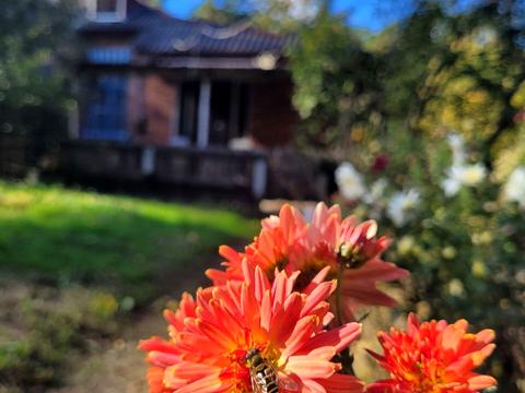 будинок за адресою Хутірська, 5