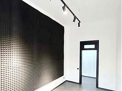 комерційна за адресою Велика Васильківська вул. (Червоноармійська), 43/16