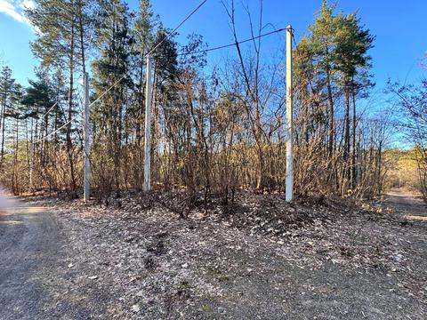 участок по адресу в Лісі