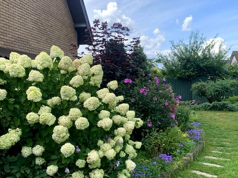 будинок за адресою Райдужна