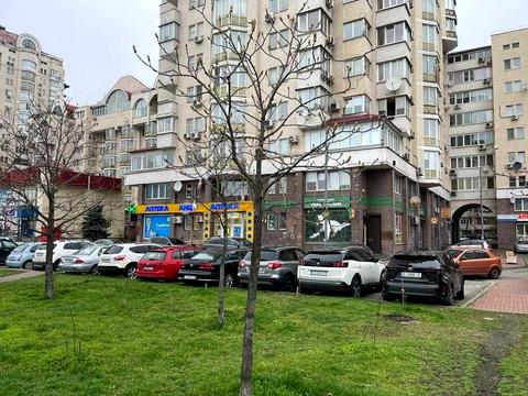 комерційна за адресою Левка Лук'яненка вул. (Маршала Тимошенка), 29