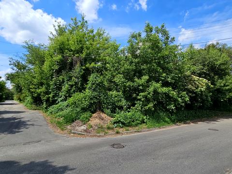 ділянка за адресою Малокитаївська вул., 36/2