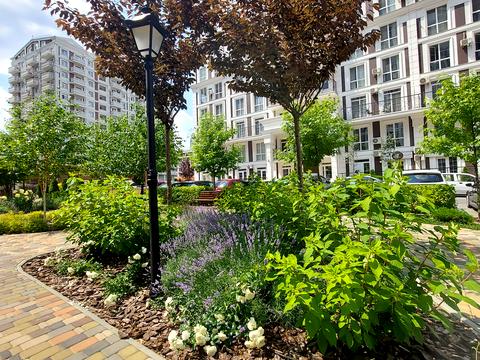 квартира за адресою Михайла Максимовича вул. (Онуфрія Трутенка), 28-Е