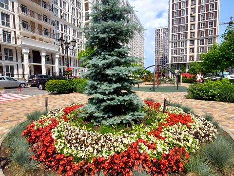 квартира за адресою Михайла Максимовича вул. (Онуфрія Трутенка), 28-Е