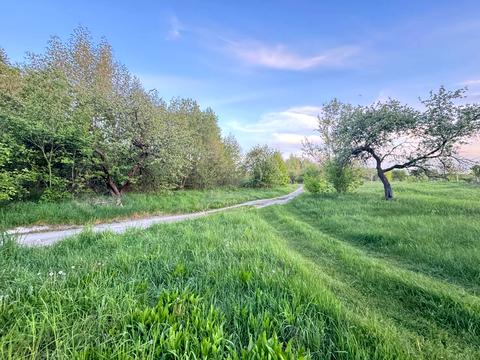 ділянка за адресою 