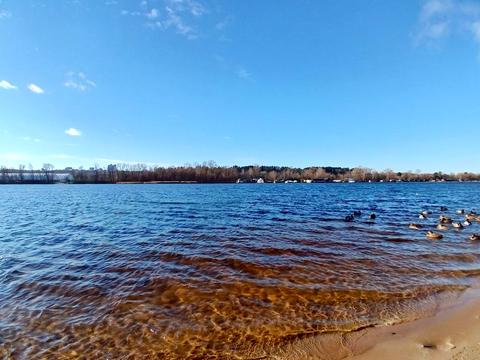 квартира за адресою Микільсько-Слобідська вул., 6/2