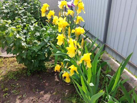 дом по адресу Полевой пер.