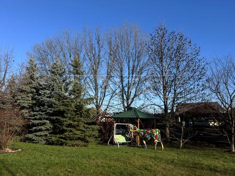 дом по адресу Вишнёвая ул.