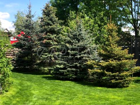 дом по адресу Вишнёвая ул.