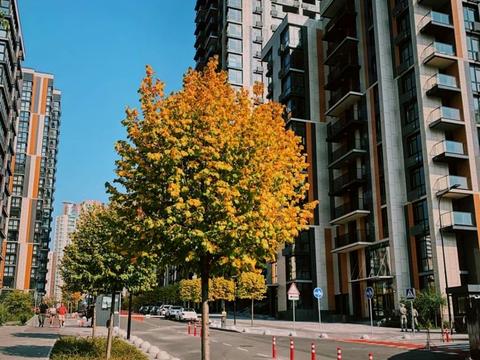 комерційна за адресою Предславинська вул., 44