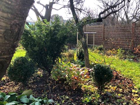 будинок за адресою Шевченка