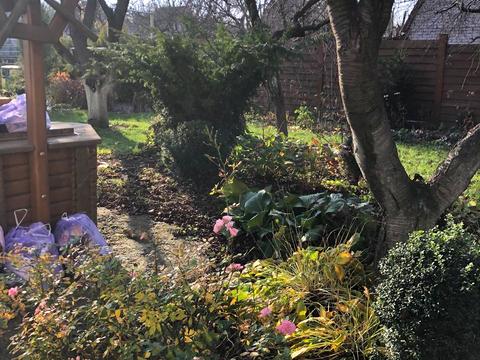 будинок за адресою Шевченка