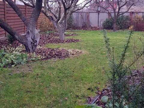 будинок за адресою Шевченка