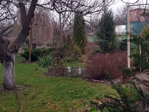 будинок за адресою Шевченка