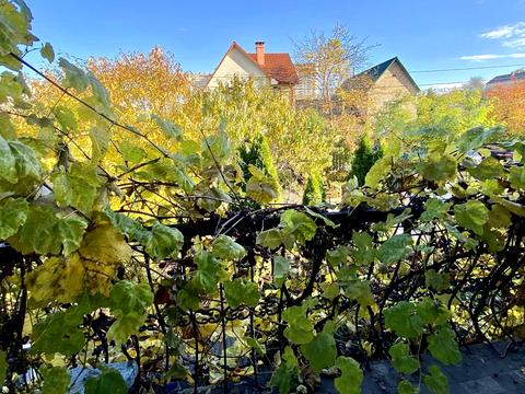 дом по адресу Патріотів ул.