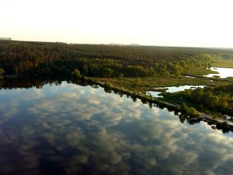 квартира по адресу Владимира Наумовича ул. (Антонова-Овсієнка), 6