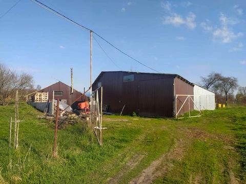 комерційна за адресою с. Іванівка, Сімї Демуцьких, 91