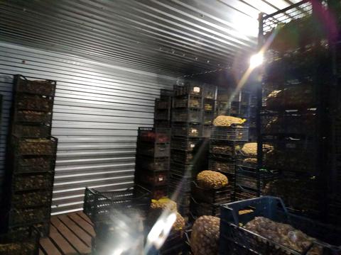 комерційна за адресою с. Іванівка, Сімї Демуцьких, 91