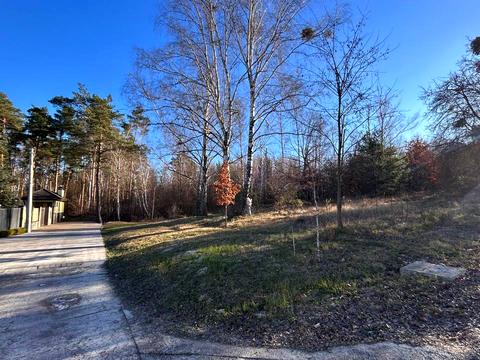 ділянка за адресою с. Іванковичі, зоряна