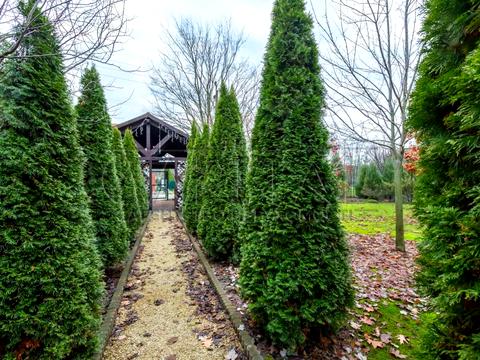 дом по адресу Днестровская ул., 19