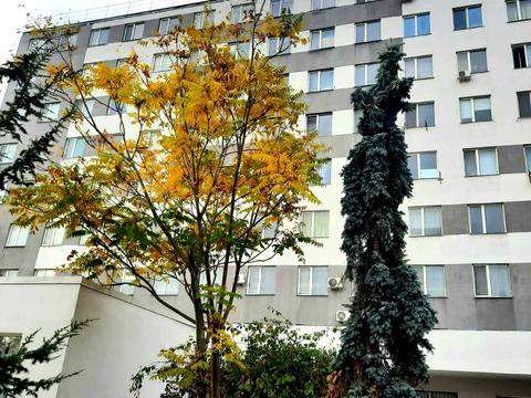 квартира за адресою Миколи Боровського вул., 37