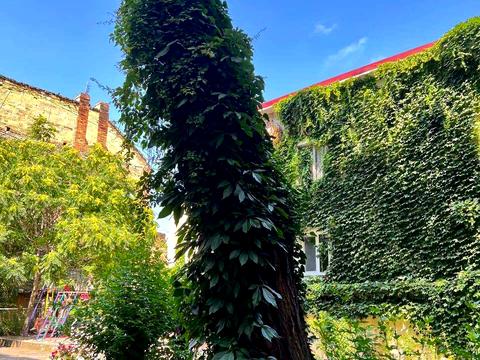 квартира за адресою Одеса, Італійська вул. (Пушкінська), 21