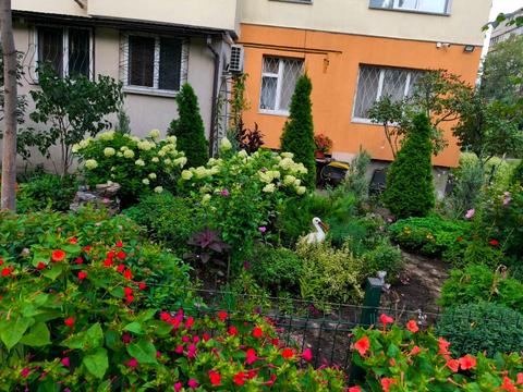 квартира за адресою Лісовий просп., 20
