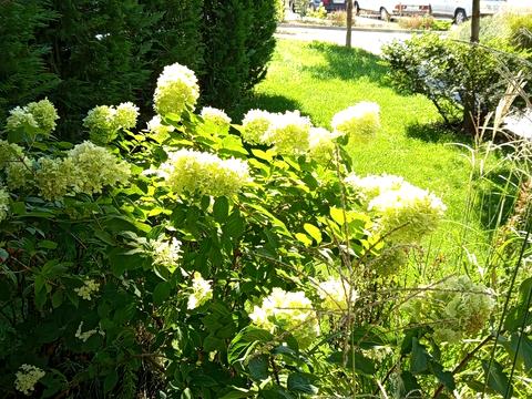 квартира за адресою Одеса, Марсельська вул., 33