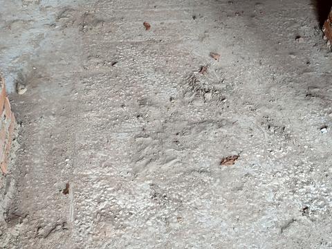 дом по адресу Выговского ул. (Суворова), 24