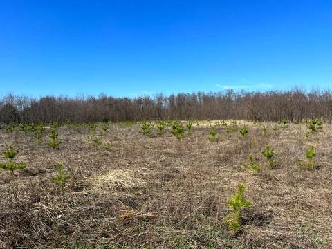 участок по адресу 