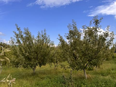 будинок за адресою Б Хмельницького, 50